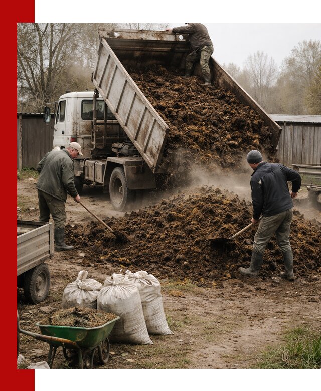 Доставка коровьего навоза самосвалом в Кирове